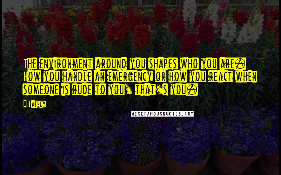 Halsey Quotes: The environment around you shapes who you are. How you handle an emergency or how you react when someone is rude to you, that's you.