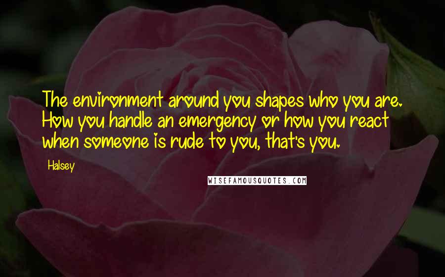 Halsey Quotes: The environment around you shapes who you are. How you handle an emergency or how you react when someone is rude to you, that's you.