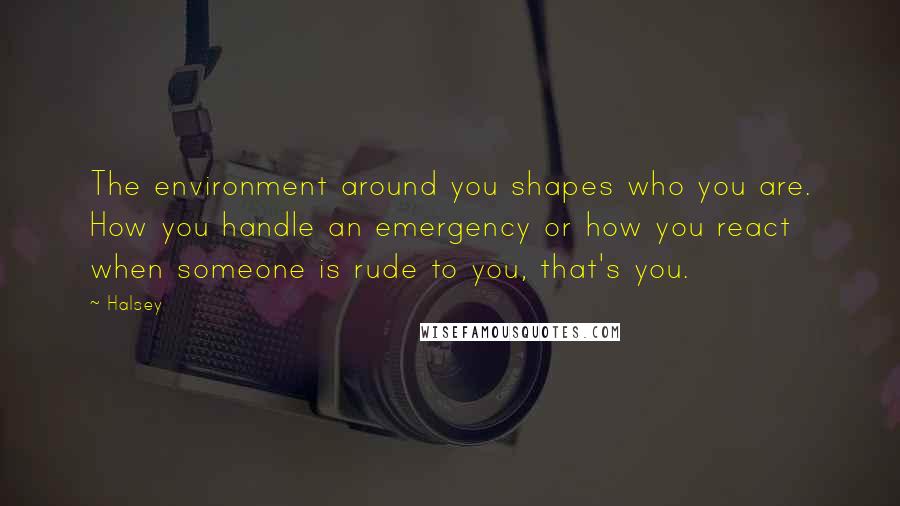 Halsey Quotes: The environment around you shapes who you are. How you handle an emergency or how you react when someone is rude to you, that's you.