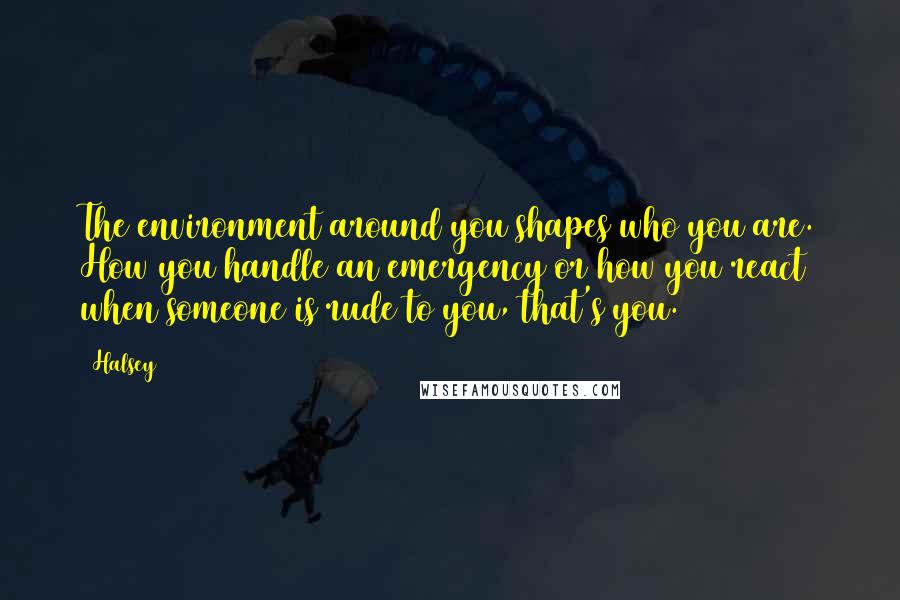 Halsey Quotes: The environment around you shapes who you are. How you handle an emergency or how you react when someone is rude to you, that's you.