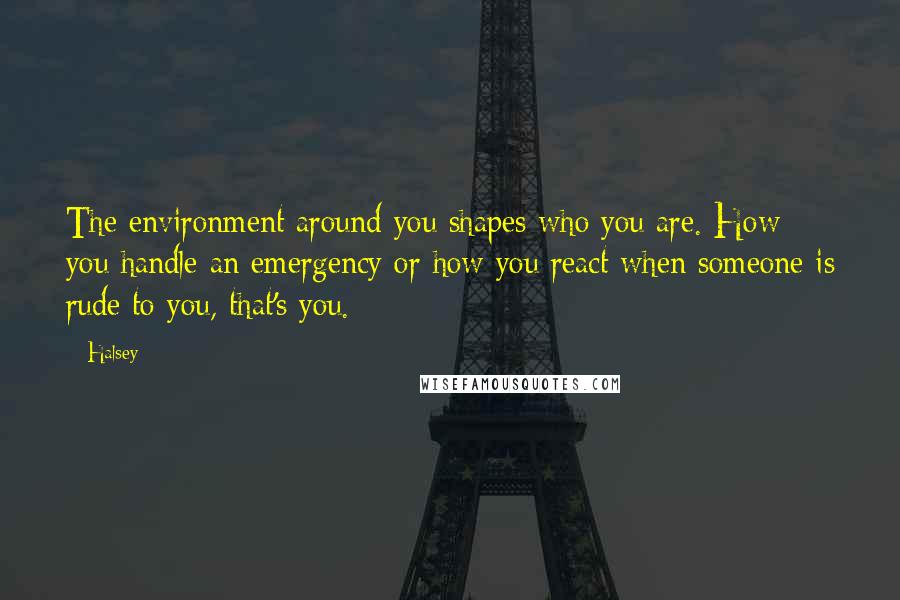 Halsey Quotes: The environment around you shapes who you are. How you handle an emergency or how you react when someone is rude to you, that's you.