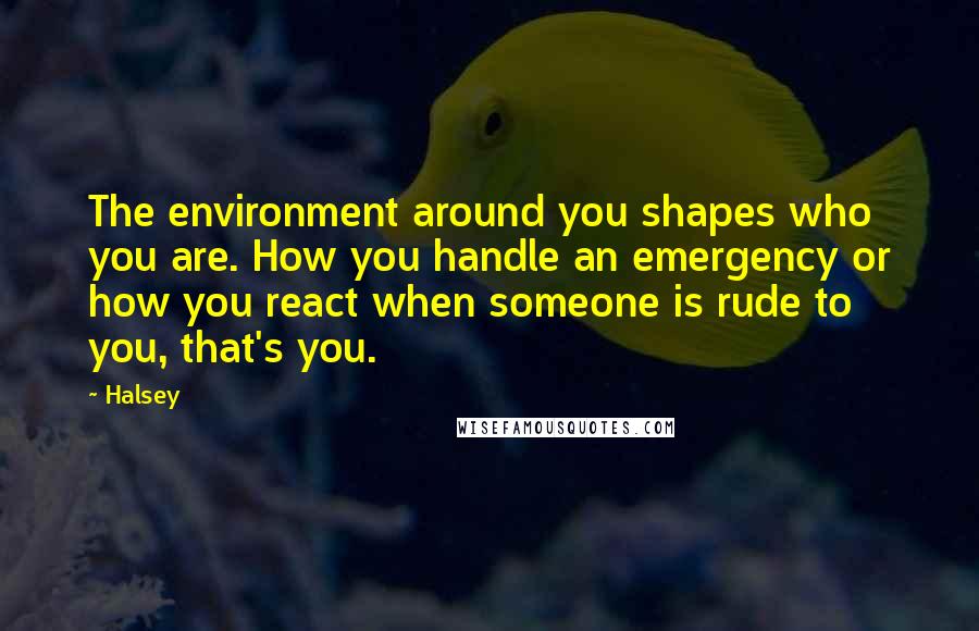 Halsey Quotes: The environment around you shapes who you are. How you handle an emergency or how you react when someone is rude to you, that's you.