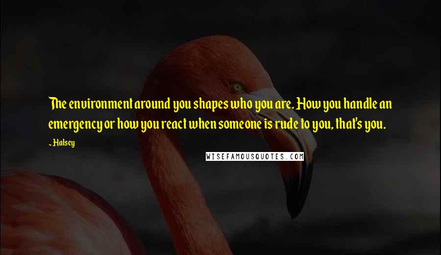 Halsey Quotes: The environment around you shapes who you are. How you handle an emergency or how you react when someone is rude to you, that's you.