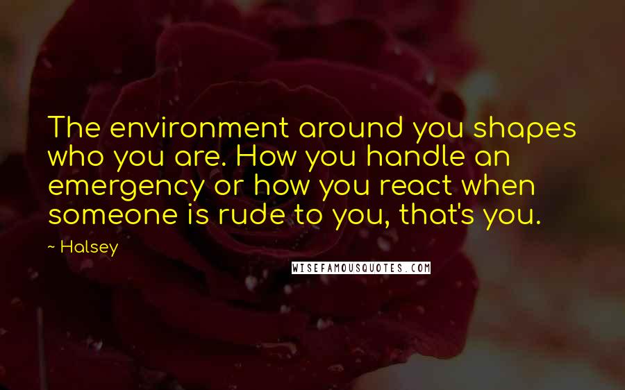 Halsey Quotes: The environment around you shapes who you are. How you handle an emergency or how you react when someone is rude to you, that's you.