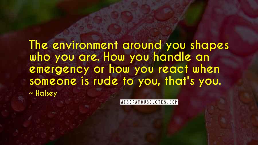 Halsey Quotes: The environment around you shapes who you are. How you handle an emergency or how you react when someone is rude to you, that's you.