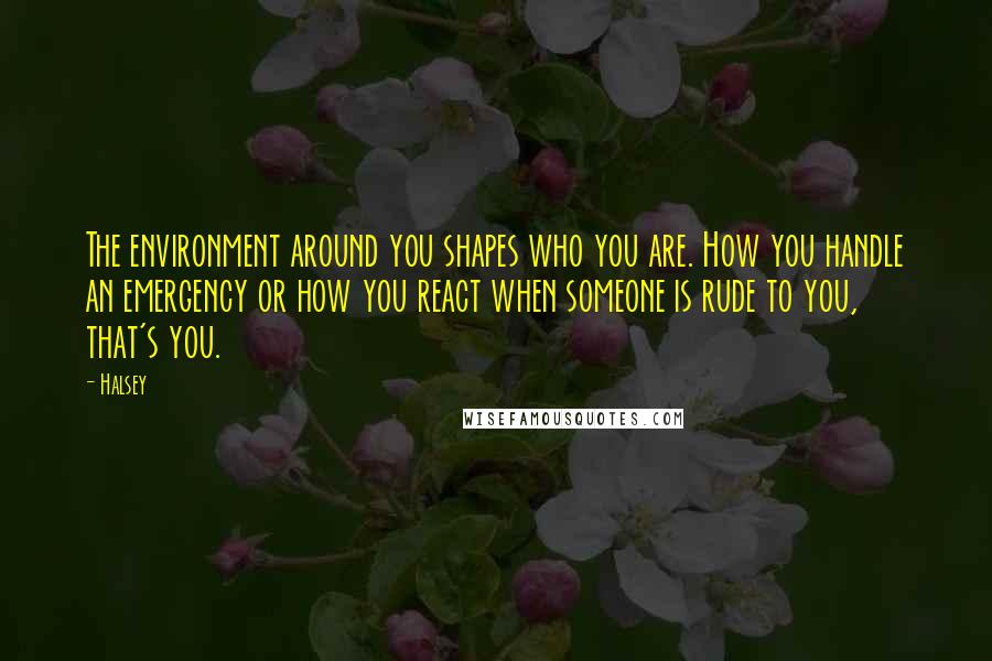 Halsey Quotes: The environment around you shapes who you are. How you handle an emergency or how you react when someone is rude to you, that's you.