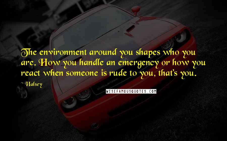 Halsey Quotes: The environment around you shapes who you are. How you handle an emergency or how you react when someone is rude to you, that's you.