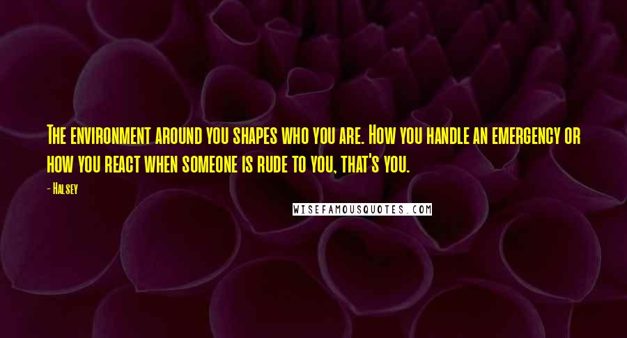 Halsey Quotes: The environment around you shapes who you are. How you handle an emergency or how you react when someone is rude to you, that's you.