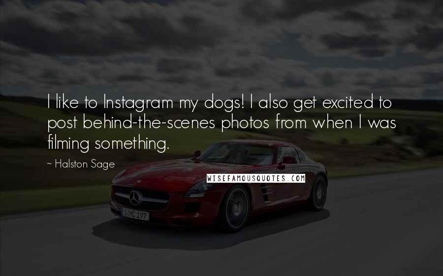 Halston Sage Quotes: I like to Instagram my dogs! I also get excited to post behind-the-scenes photos from when I was filming something.