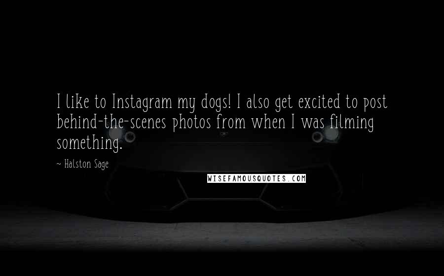 Halston Sage Quotes: I like to Instagram my dogs! I also get excited to post behind-the-scenes photos from when I was filming something.