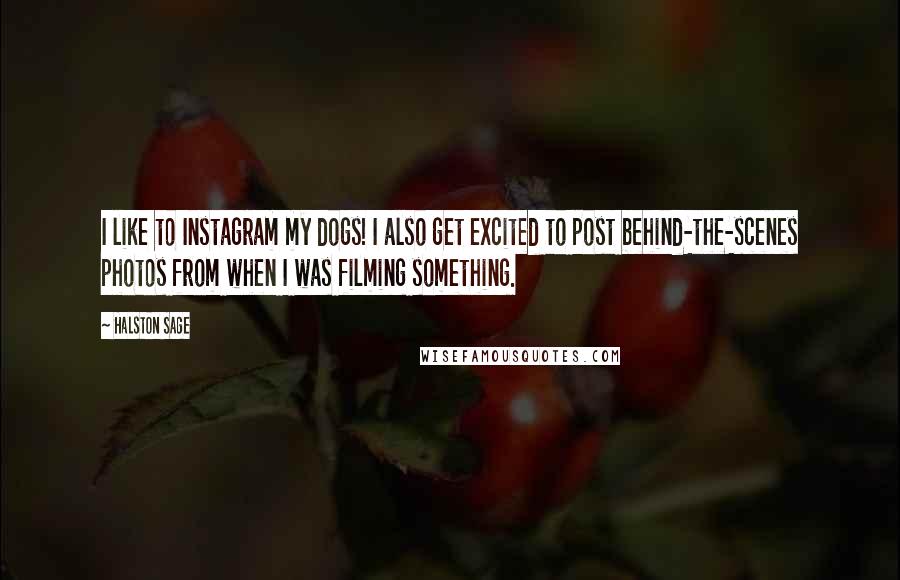 Halston Sage Quotes: I like to Instagram my dogs! I also get excited to post behind-the-scenes photos from when I was filming something.