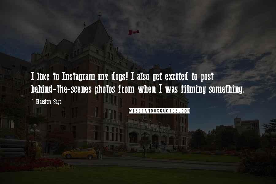 Halston Sage Quotes: I like to Instagram my dogs! I also get excited to post behind-the-scenes photos from when I was filming something.