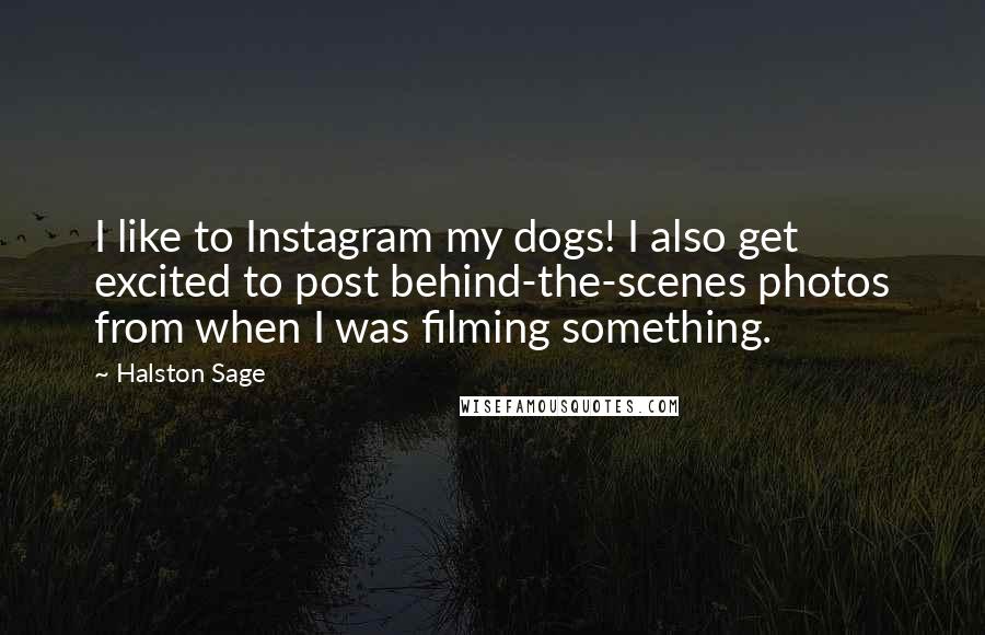 Halston Sage Quotes: I like to Instagram my dogs! I also get excited to post behind-the-scenes photos from when I was filming something.
