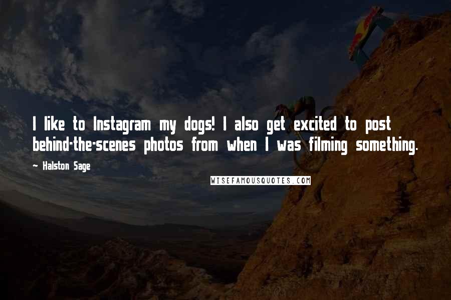 Halston Sage Quotes: I like to Instagram my dogs! I also get excited to post behind-the-scenes photos from when I was filming something.