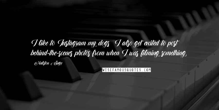 Halston Sage Quotes: I like to Instagram my dogs! I also get excited to post behind-the-scenes photos from when I was filming something.