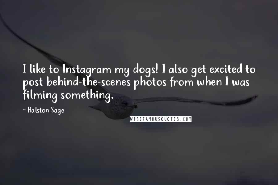 Halston Sage Quotes: I like to Instagram my dogs! I also get excited to post behind-the-scenes photos from when I was filming something.