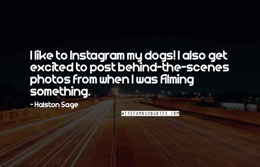 Halston Sage Quotes: I like to Instagram my dogs! I also get excited to post behind-the-scenes photos from when I was filming something.