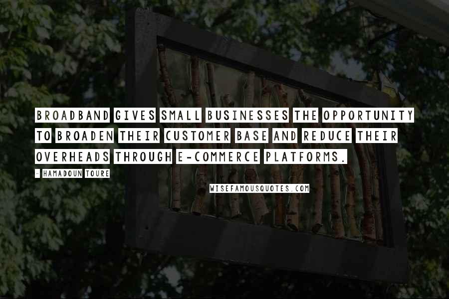 Hamadoun Toure Quotes: Broadband gives small businesses the opportunity to broaden their customer base and reduce their overheads through e-commerce platforms.