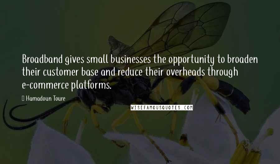 Hamadoun Toure Quotes: Broadband gives small businesses the opportunity to broaden their customer base and reduce their overheads through e-commerce platforms.