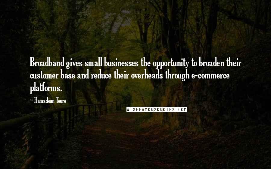 Hamadoun Toure Quotes: Broadband gives small businesses the opportunity to broaden their customer base and reduce their overheads through e-commerce platforms.