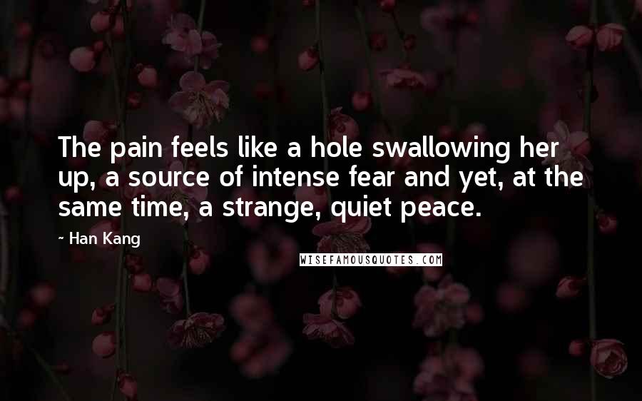 Han Kang Quotes: The pain feels like a hole swallowing her up, a source of intense fear and yet, at the same time, a strange, quiet peace.