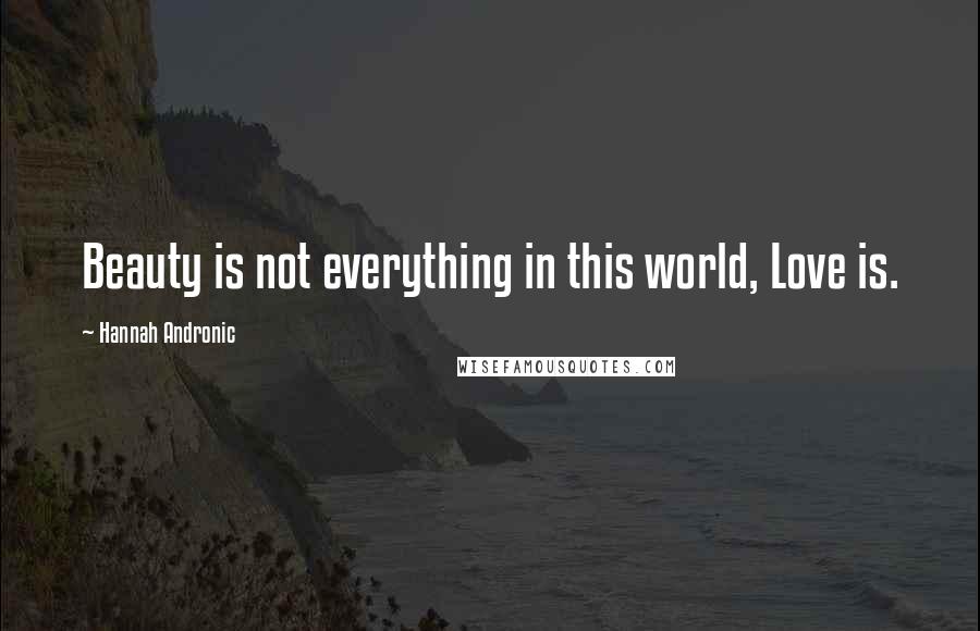 Hannah Andronic Quotes: Beauty is not everything in this world, Love is.