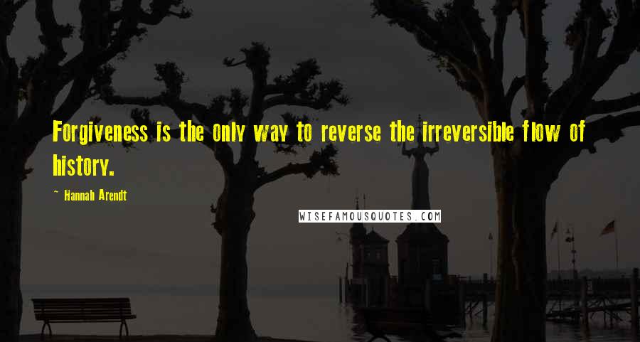 Hannah Arendt Quotes: Forgiveness is the only way to reverse the irreversible flow of history.