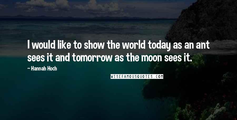 Hannah Hoch Quotes: I would like to show the world today as an ant sees it and tomorrow as the moon sees it.