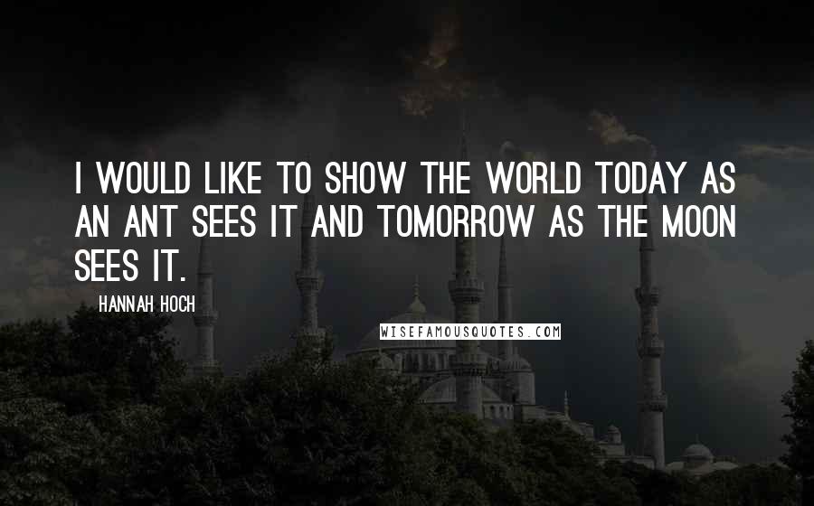 Hannah Hoch Quotes: I would like to show the world today as an ant sees it and tomorrow as the moon sees it.