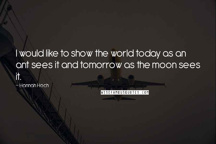 Hannah Hoch Quotes: I would like to show the world today as an ant sees it and tomorrow as the moon sees it.