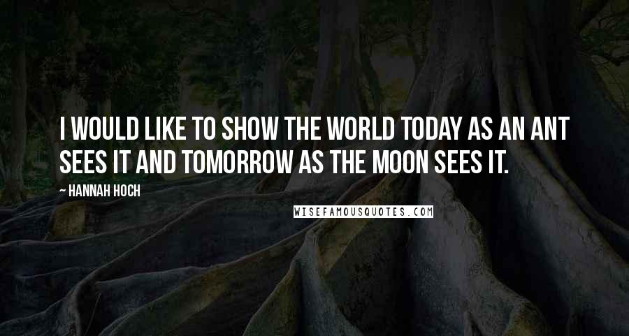 Hannah Hoch Quotes: I would like to show the world today as an ant sees it and tomorrow as the moon sees it.