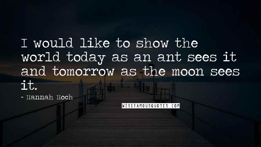 Hannah Hoch Quotes: I would like to show the world today as an ant sees it and tomorrow as the moon sees it.