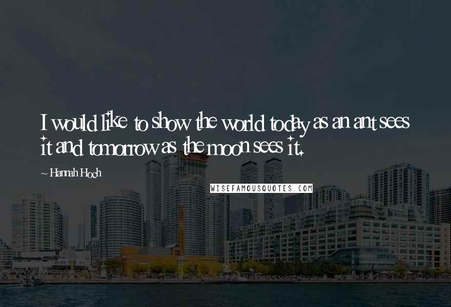 Hannah Hoch Quotes: I would like to show the world today as an ant sees it and tomorrow as the moon sees it.