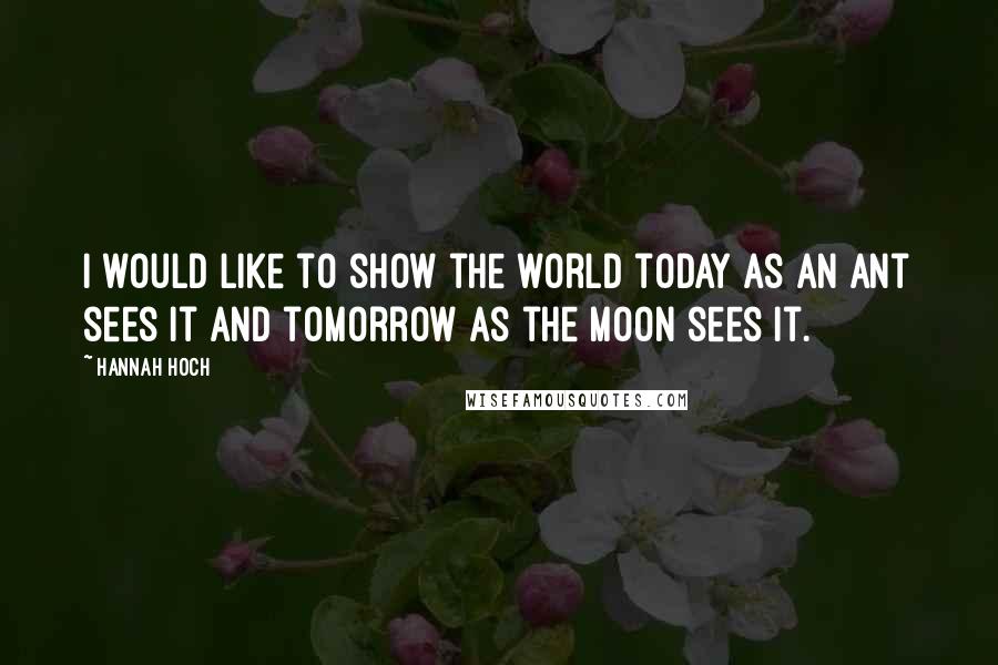 Hannah Hoch Quotes: I would like to show the world today as an ant sees it and tomorrow as the moon sees it.