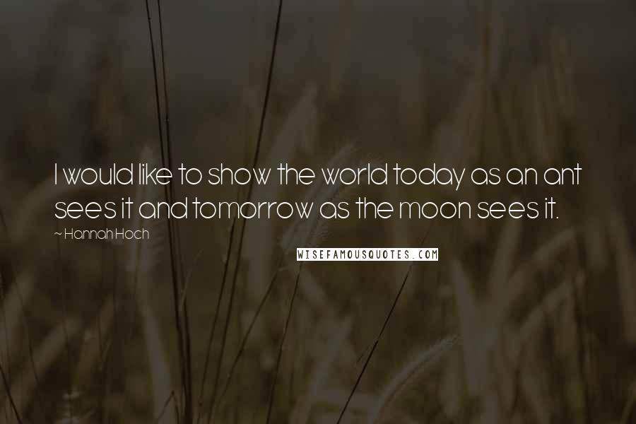 Hannah Hoch Quotes: I would like to show the world today as an ant sees it and tomorrow as the moon sees it.