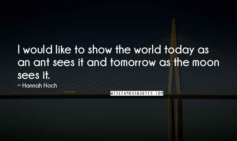 Hannah Hoch Quotes: I would like to show the world today as an ant sees it and tomorrow as the moon sees it.