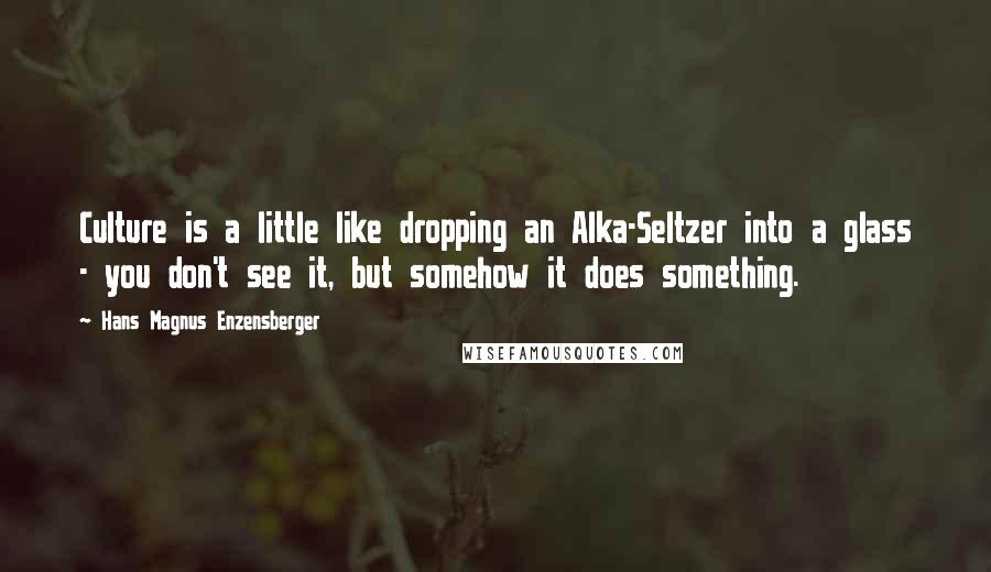 Hans Magnus Enzensberger Quotes: Culture is a little like dropping an Alka-Seltzer into a glass - you don't see it, but somehow it does something.