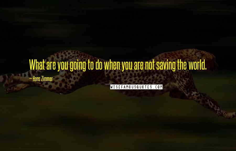 Hans Zimmer Quotes: What are you going to do when you are not saving the world.