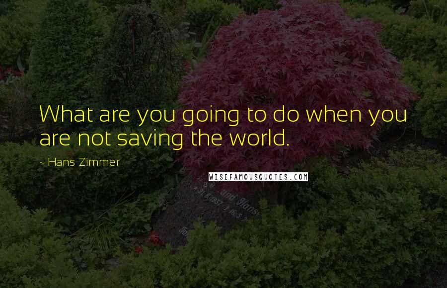 Hans Zimmer Quotes: What are you going to do when you are not saving the world.