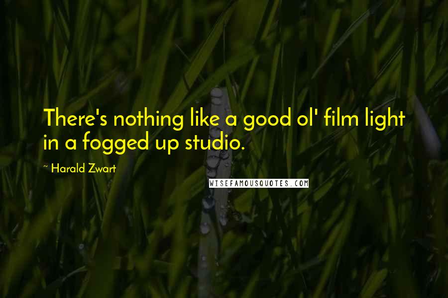 Harald Zwart Quotes: There's nothing like a good ol' film light in a fogged up studio.