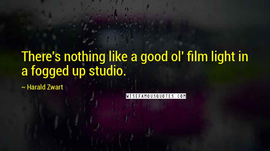 Harald Zwart Quotes: There's nothing like a good ol' film light in a fogged up studio.