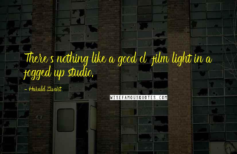 Harald Zwart Quotes: There's nothing like a good ol' film light in a fogged up studio.