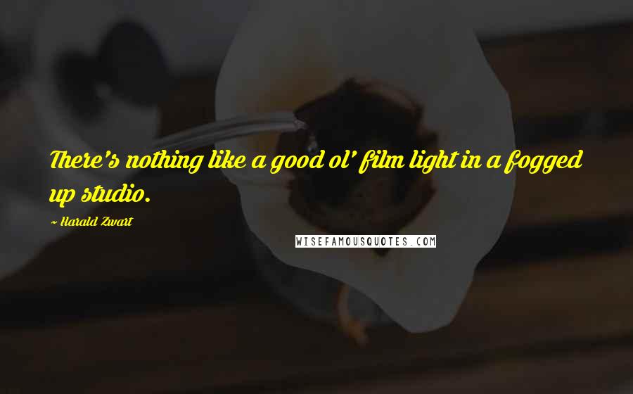 Harald Zwart Quotes: There's nothing like a good ol' film light in a fogged up studio.