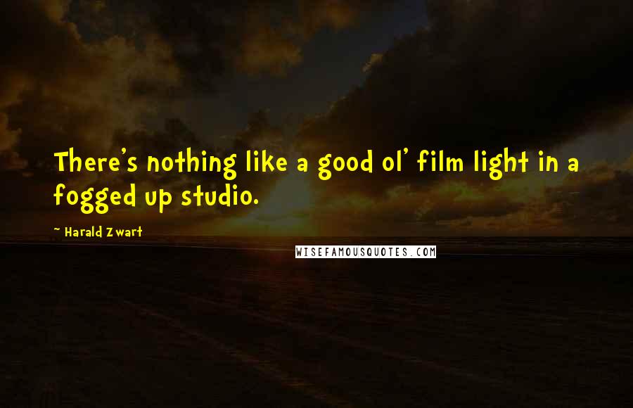 Harald Zwart Quotes: There's nothing like a good ol' film light in a fogged up studio.
