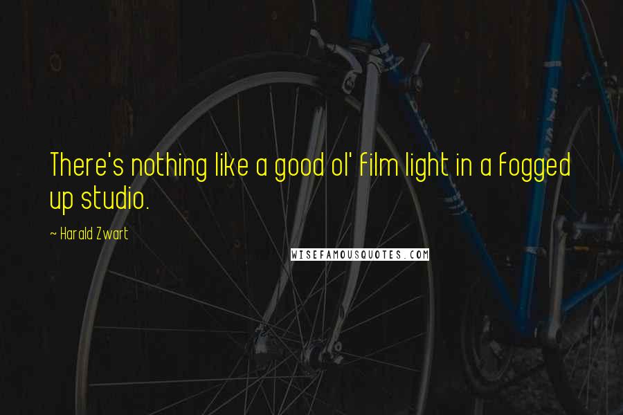 Harald Zwart Quotes: There's nothing like a good ol' film light in a fogged up studio.