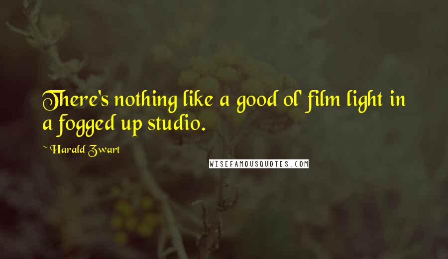 Harald Zwart Quotes: There's nothing like a good ol' film light in a fogged up studio.