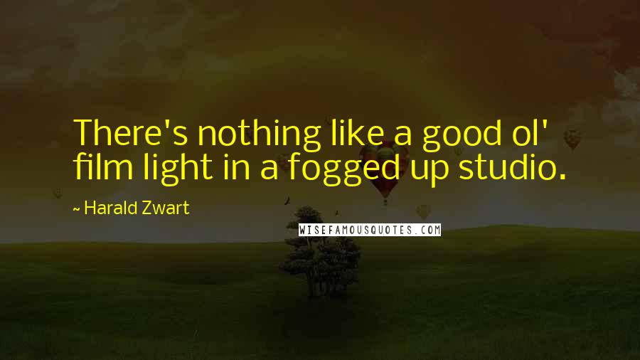 Harald Zwart Quotes: There's nothing like a good ol' film light in a fogged up studio.