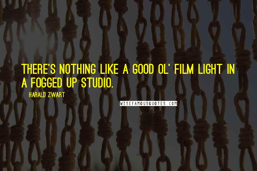 Harald Zwart Quotes: There's nothing like a good ol' film light in a fogged up studio.