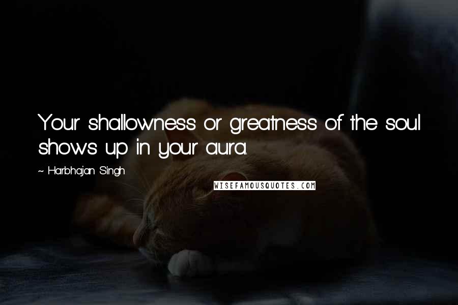 Harbhajan Singh Quotes: Your shallowness or greatness of the soul shows up in your aura.