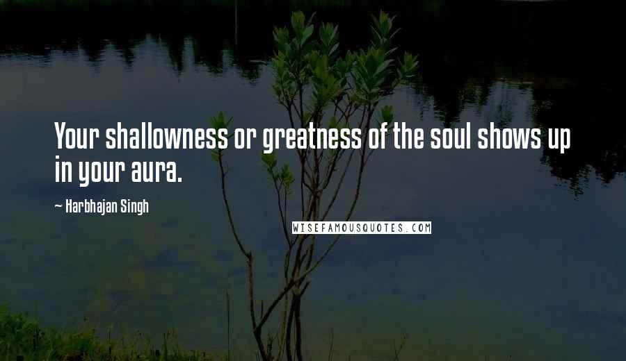 Harbhajan Singh Quotes: Your shallowness or greatness of the soul shows up in your aura.